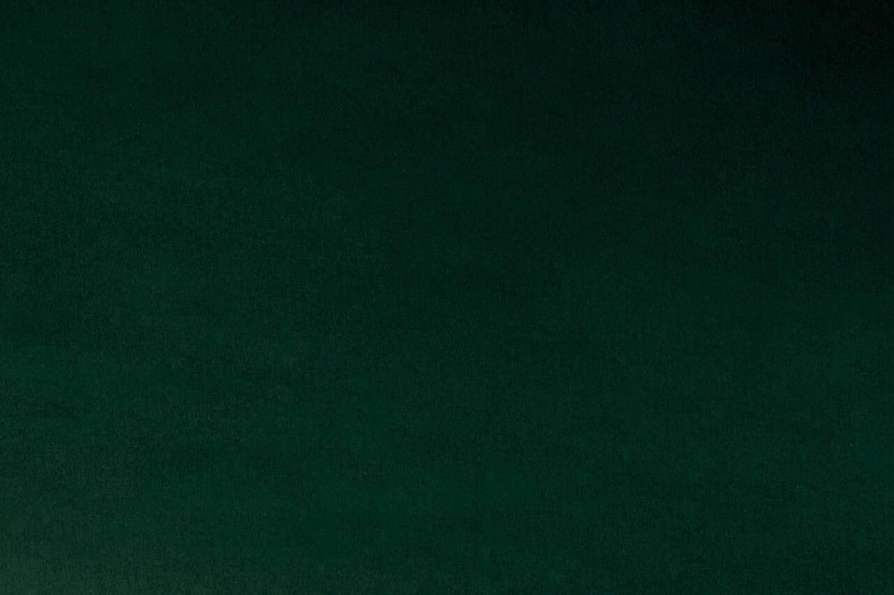 Fabric Shannon Spruce 90" Extra Wide Solid Cuddle 3 by the Quarter Yard C390-SPRUCE